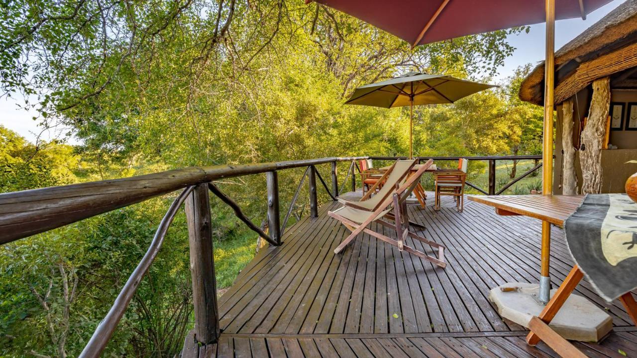 Umlani Bushcamp Villa Timbavati Game Reserve Eksteriør billede
