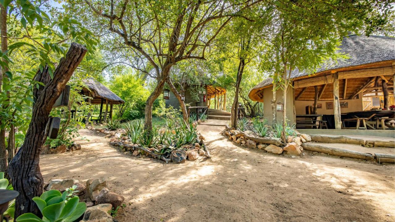 Umlani Bushcamp Villa Timbavati Game Reserve Eksteriør billede