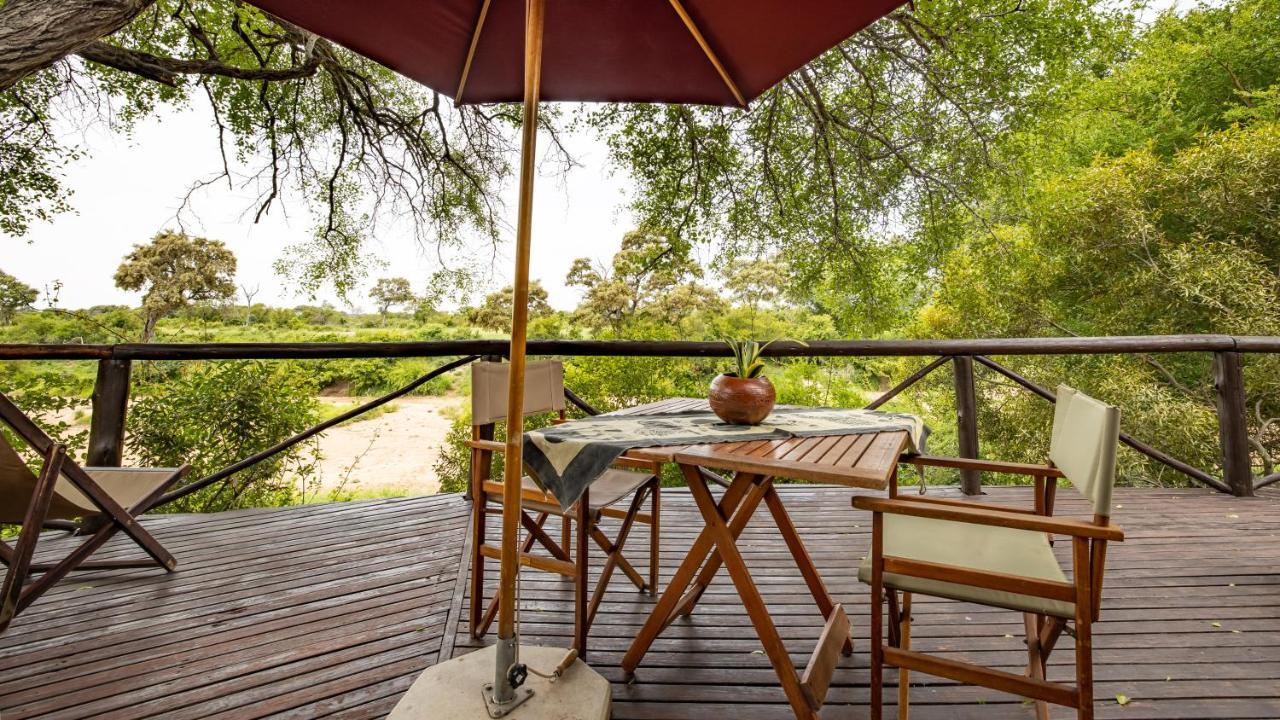 Umlani Bushcamp Villa Timbavati Game Reserve Eksteriør billede