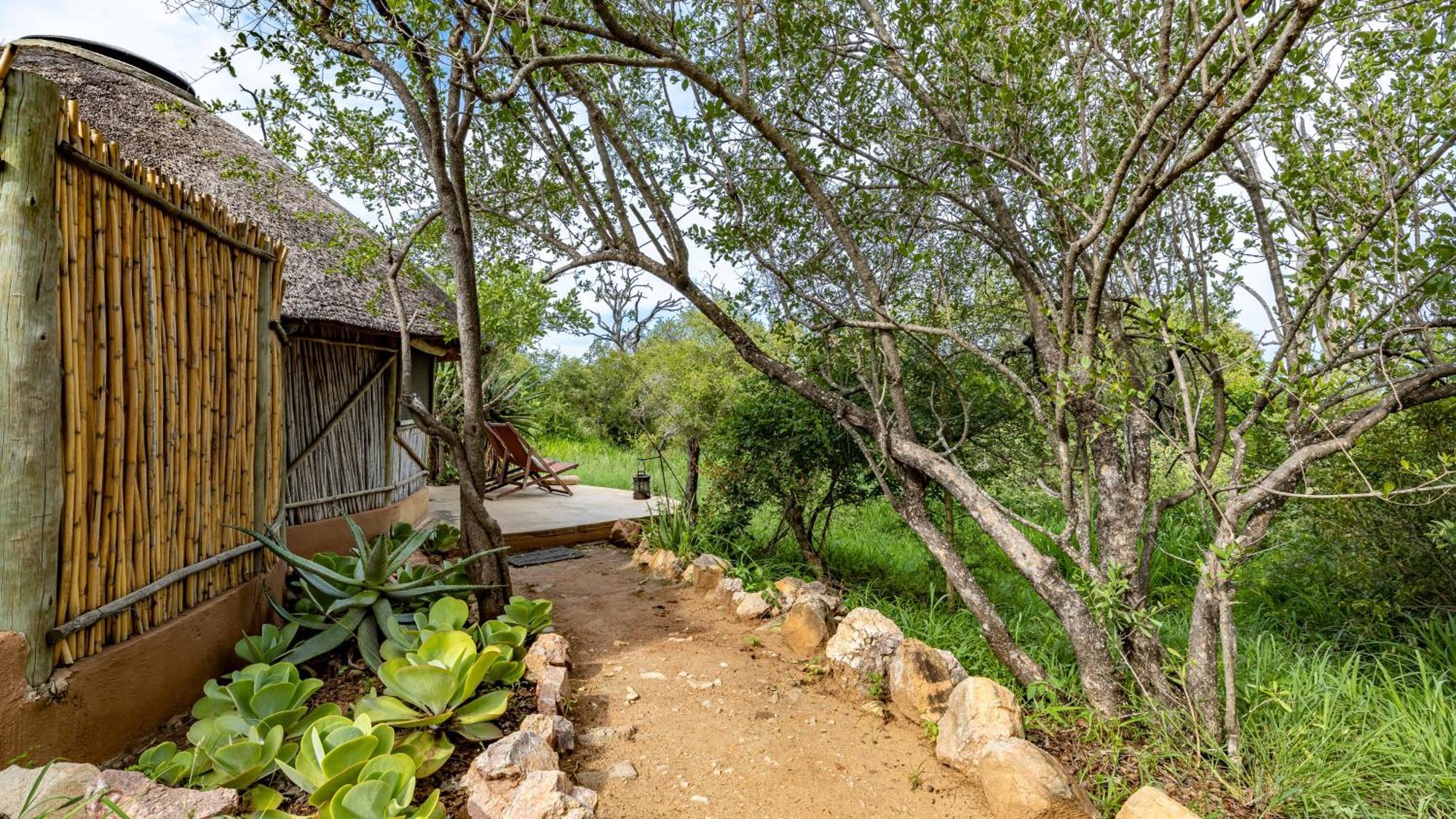 Umlani Bushcamp Villa Timbavati Game Reserve Eksteriør billede