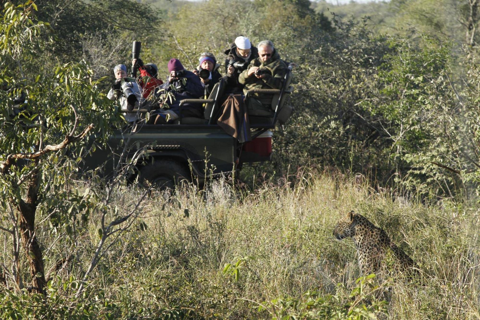 Umlani Bushcamp Villa Timbavati Game Reserve Eksteriør billede
