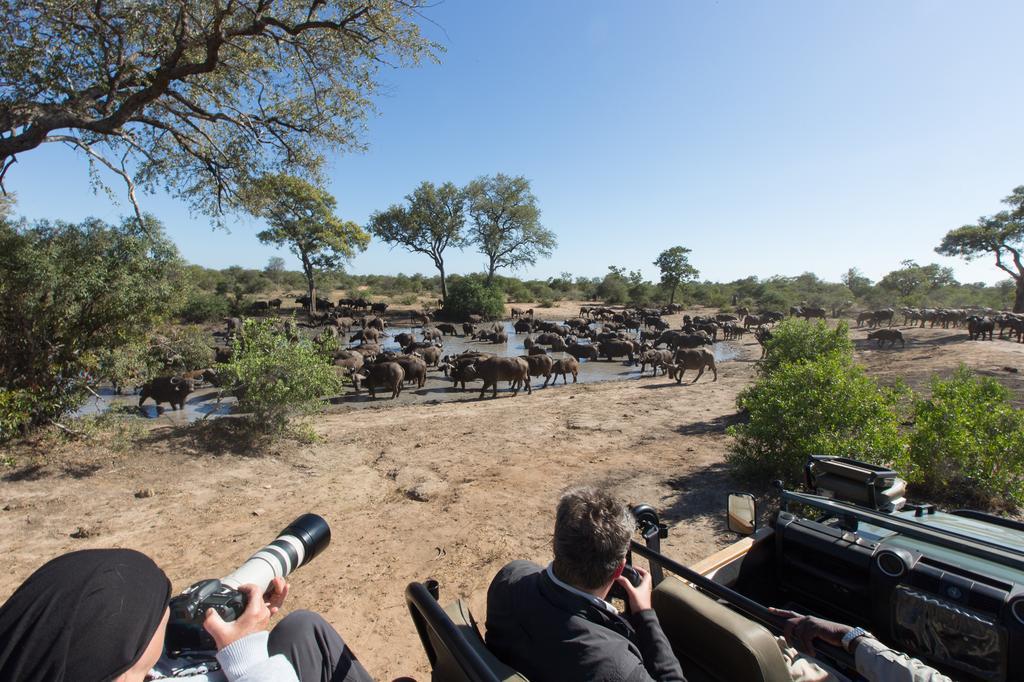 Umlani Bushcamp Villa Timbavati Game Reserve Eksteriør billede