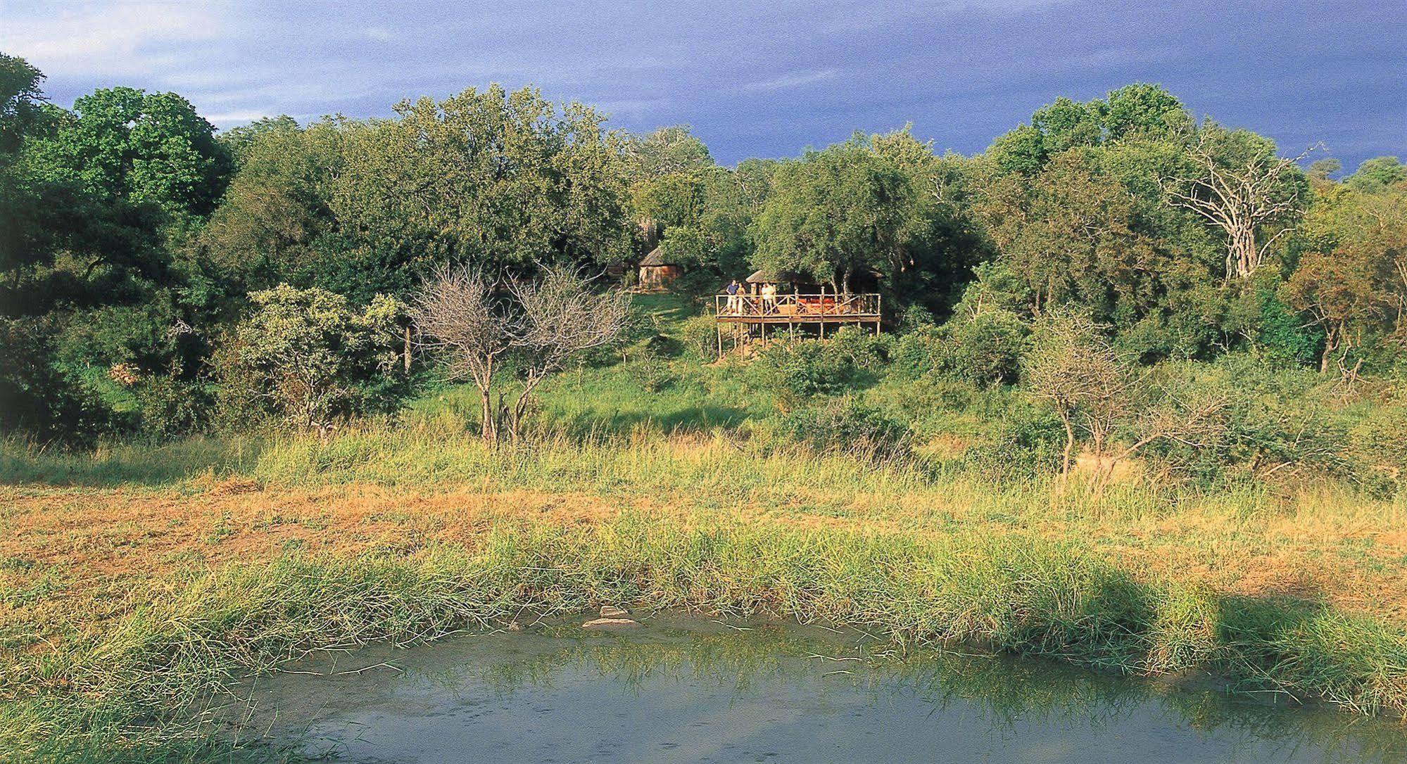 Umlani Bushcamp Villa Timbavati Game Reserve Eksteriør billede